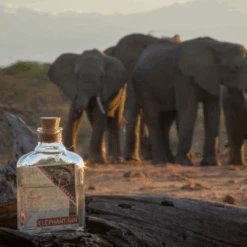 Elephant Gin London Dry 500ml 7 Elephant Gin London Dry 500ml -Nestlé® Shop 7 0e28b957 b59b 4568 9b3a aa47b26840b8