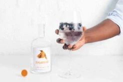 Sugarbird Original Cape Fynbos Gin 50cl -Nestlé® Shop Sugerbird Gin Cape Town SouthAfrica 005